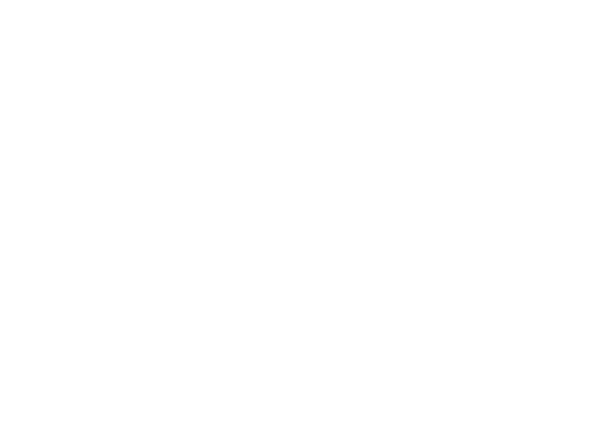 Panzo Sandvic